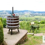 Garten der Sinne | Merzig | 24.06.2018