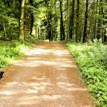 Ein Nachmittag auf der Burg Montclair | Mettlach | 21.05.2018